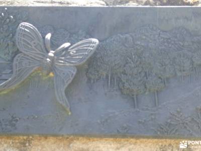 Montes de Peguerinos, cuna de la mariposa isabelina; viajes para amantes de la naturaleza villalpard
